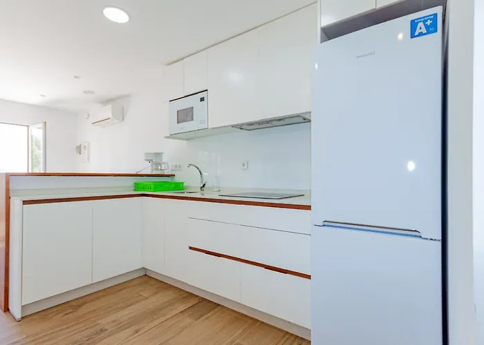 Inmovecos Optimist 2